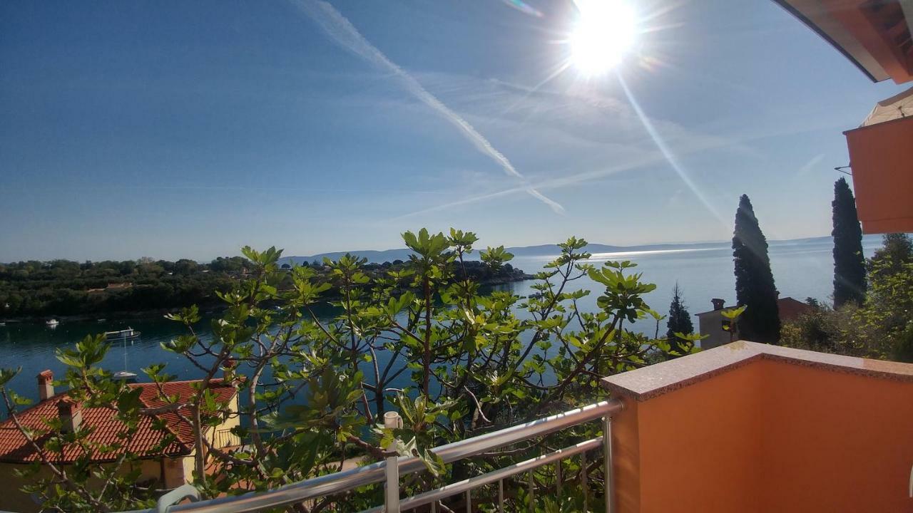 Alex Apartment Drenje (Istria)